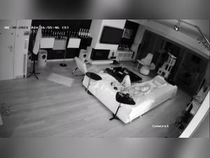 Dog Sex Video - Watch Now