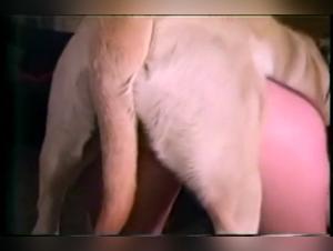 new beastiality petlust