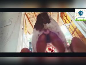 Hardcore bestiality with Alisonprod