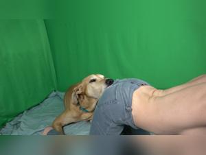 Zoophilia video: a woman and her dog