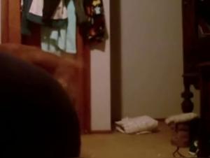 Sex video with a dog: a teenager and her four-legged friend