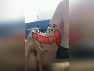 A Slut Licks Her Little Dog on OnlyFan - Extreme Zoophilia Porn