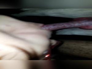 animal fucking kinkcafe