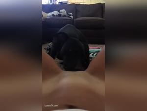 Max and his adventure with a dog