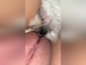 forbidden pleasures: animal exploration