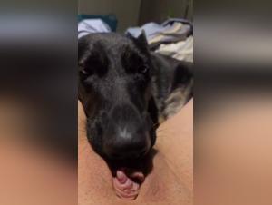 mon chien, ma femme et un lâcher-prise stressant