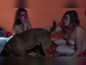 Gina and her bestial adventure