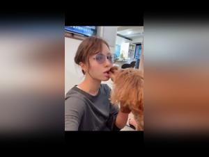 Moments of intense fun with dogs