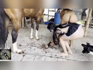 Sex with Horses: A Passion That Fulfills Bestiality Needs