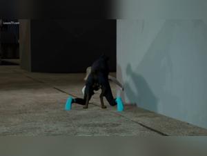 Gwen Stacy and her Animal Encounter