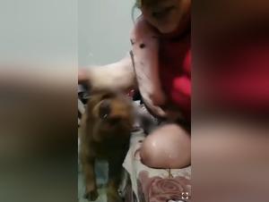 gold fever : tante solo baise chien à caméra