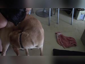 Salope baise chien - Jesse 16 - Video XXX