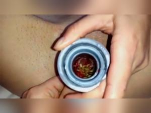 Brunette et chien : une rencontre bestiale