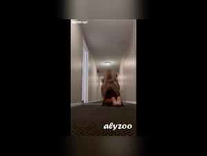 Risque Chien Baise