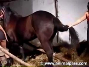  Lesbians and Horse: Intense and Erotic Sex Scene