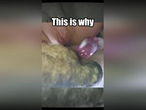 TikTok: Frau züchtet Riesenhund - Warum?