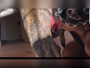 Unveiling Forbidden Desires on Alyzoo