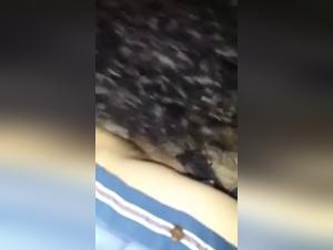 delving into taboo: zooxxx artistry unveiled