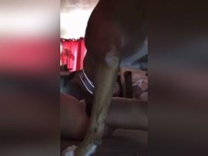 Latin female dog and Her Best Friend on All Fours - Bestiality Sex