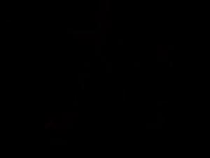 Navigating the Xzoo Frontier