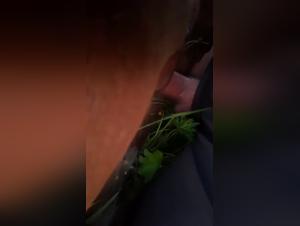 bestiality between woman and dog