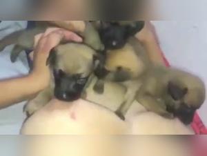 Breastfeeding Puppy - A unique zoophilia video