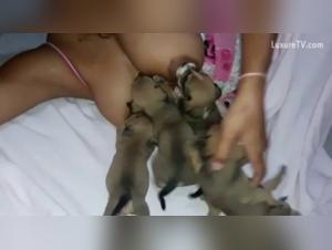 Bestiality sex: Discover puppy milk 5