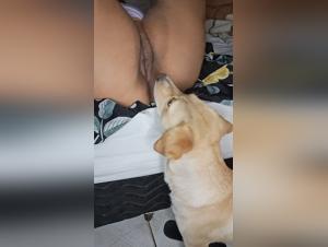 The Sexy dog and Hamster Sex Experience