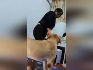 Chinese woman fucks with her dog