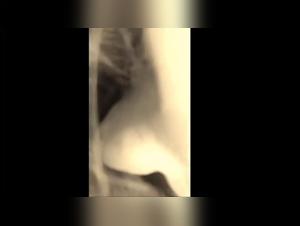 Woman and Horse: A Story of Desire and Pleasure