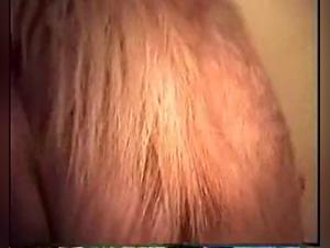 XZoo Realm: Unveiling the Forbidden