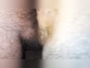 Exploring Beastiality Meaning