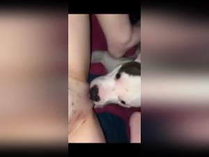 W4D: A Bestial and Exciting Experience