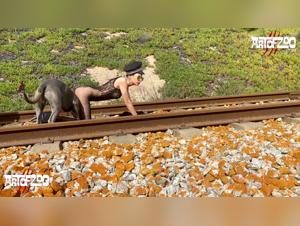 Unveiling Canine Adventures with Artofzoo