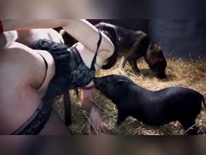 Woman and Dog: A Prohibited Encounter, Extreme Sex