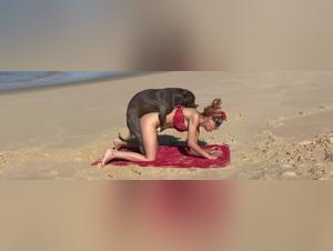 Back to ArtofZoo: An Unforgettable Sex Experience with Dogs