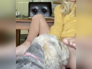 Sexy blonde and affectionate dog in bestiality video