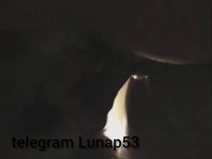 animal sex australia missionary videos: explicit zoophilia