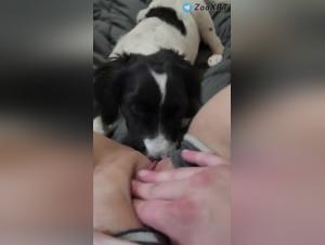 Perra y su Perro: Placer Feroz