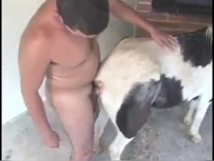 Into the Forbidden: Unveiling Zooxnxx