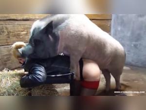 Sex with a pig: a blonde lets loose