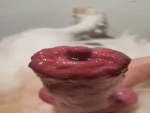 Sex Zoo Animals: A Unique Sexual Experience