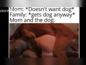 Navigating Ethical Dog Ownership