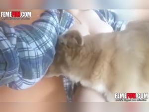 Amateur: Sie ist nackt vor ihrer Webcam und spielt mit ihrem Hund
