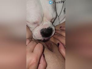 Bitch fucks her owner