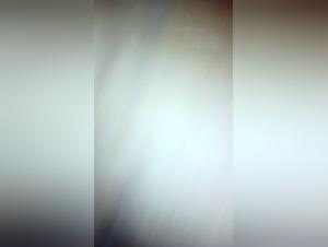 Zoophilia Videos - Intimate Encounters with Dogs