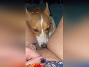 Dog Licks Girl Hard