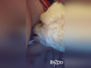 A young French girl gets dominated by her stepmom and serviced by her dog in a sordid scenario