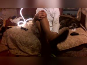 explore animal eroticism