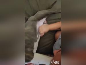 Curious teenager and dog: a beastly encounter